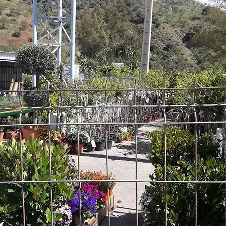 Nuevo Montesol Affittacamere